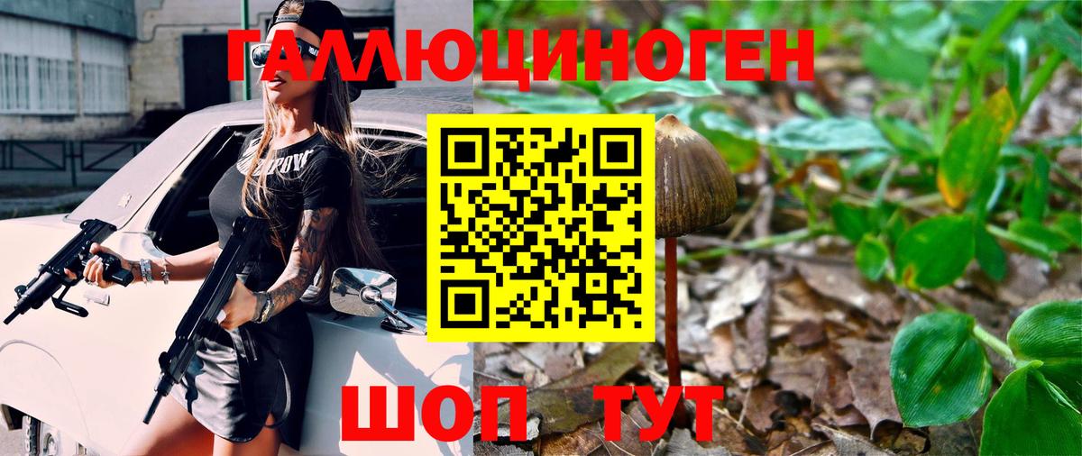 Можга  Галлюциногенные грибы Cubensis  даркнет сайт  Вход с VPN 